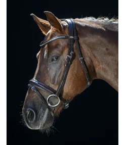 Discount Bridon Shiny Gloss Muserolle Française & Combinée