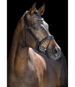 Hot Bridon Shiny Gloss Muserolle Française & Combinée