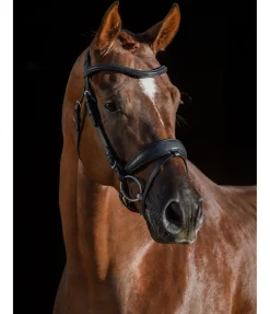 Clearance Bridon Soft Comfort PRO Muserolle Suédoise & Brides