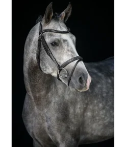 Clearance Bridon Stitch Muserolle Française & Combinée