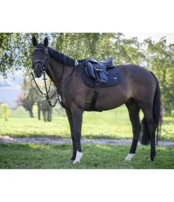 Clearance Bridon Stitch Muserolle Française & Combinée