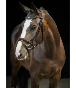 Sale Bridon Stitch Muserolle Française & Combinée