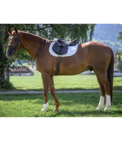 Sale Bridon Stitch Muserolle Française & Combinée