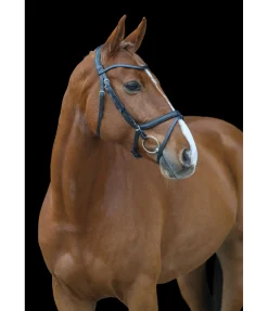 Hot Bridon anatomique Classic Muserolle Française & Combinée