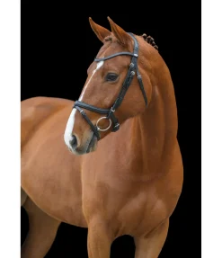Hot Bridon anatomique Classic Muserolle Française & Combinée