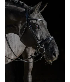 Online Bridon avec boucle de noseband amovible Mirissa Muserolle Suédoise & Brides