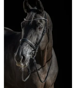 Online Bridon avec boucle de noseband amovible Mirissa Muserolle Suédoise & Brides