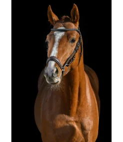 Hot Bridon avec muserolle allemande Soft Comfort Muserolle Allemande & Croisée