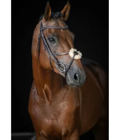 Bridon avec muserolle croisée Stitch Muserolle Allemande & Croisée