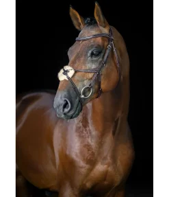 Bridon avec muserolle croisée Stitch Muserolle Allemande & Croisée