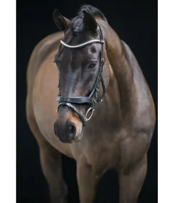 Online Bridon avec noseband amovible Berlin Muserolle Française & Combinée