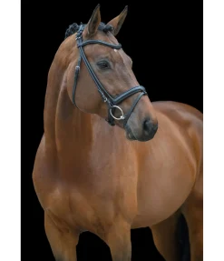 New Bridon cousu rond Round Muserolle Française & Combinée