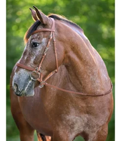 Discount Bridon de randonnée Nevada Bridons Sans Embouchures