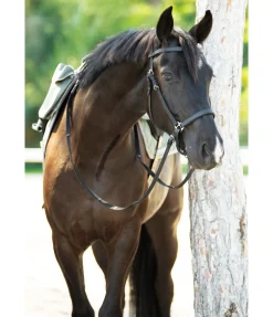 Sale Bridon de randonnée Nevada Bridons Sans Embouchures