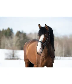 Sale Bridon de randonnée Nevada Bridons Sans Embouchures