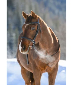 Sale Bridon de randonnée Nevada Bridons Sans Embouchures
