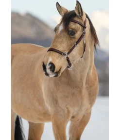 Hot Bridon de randonnée imperméable Eifel Bridons Sans Embouchures
