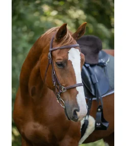 Hot Bridon de randonnée imperméable Eifel Bridons Sans Embouchures