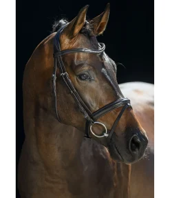 New Bridon FELIX BÜHLER Classy Comfort Muserolle Française & Combinée