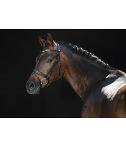 New Bridon FELIX BÜHLER Classy Comfort Muserolle Française & Combinée