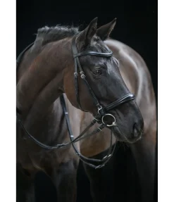 Hot Bridon sans mors 5 en 1 Muserolle Française & Combinée|Bridons Sans Embouchures