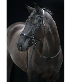 Hot Bridon sans mors 5 en 1 Muserolle Française & Combinée|Bridons Sans Embouchures