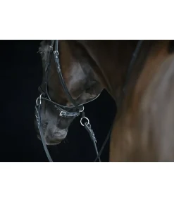 Hot Bridon sans mors 5 en 1 Muserolle Française & Combinée|Bridons Sans Embouchures