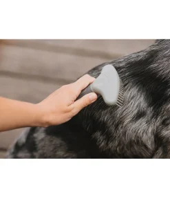 Sale Brosse à démêler pour chien Maylo Entretien De La Fourrure Pour Chien