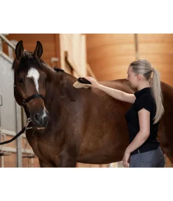 Outlet Brosse anti-poussière Matériel De Pansage
