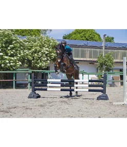 Online Chandelier Equipement De Carrière & Manège