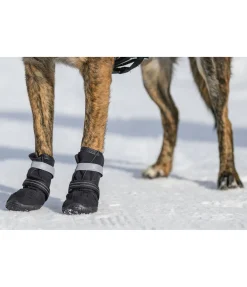 Chaussons pour chien Antarctica Accessoires Pour Chien