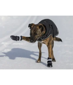 Chaussons pour chien Antarctica Accessoires Pour Chien