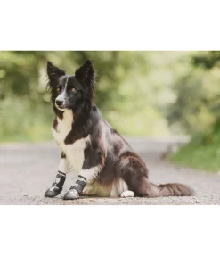 Best Chaussons pour chien Dubai Accessoires Pour Chien