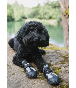 Best Chaussons pour chien Dubai Accessoires Pour Chien