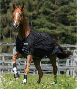 Sale Chemise anti-mouches Economy Light Chemises Anti-Mouches|Couvertures Anti-Mouches