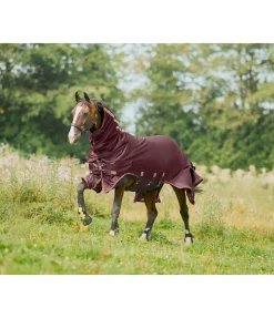 Chemise anti-mouches avec couvre-cou amovible Timeless Elegance Couvertures Anti-Mouches|Couvertures Anti-Eczéma