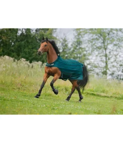 Online Chemise de marcheur anti-mouches Economy Light Chemises Anti-Mouches|Couvertures Anti-Mouches