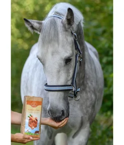 Sale Chips de carotte Friandises & Récompenses