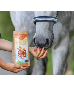 Sale Chips de carotte Friandises & Récompenses