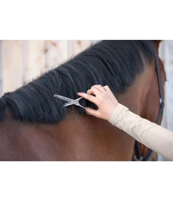 Clearance Ciseaux à effiler Entretien De La Fourrure Pour Chien