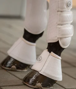 Sale Cloches Dressage-Derby Cloches & Protèges-Glomes