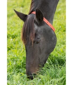 Collier anti-parasites pour cheval Produits De Soin|Produits Anti-Mouches
