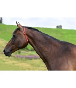 Collier anti-parasites pour cheval Produits De Soin|Produits Anti-Mouches