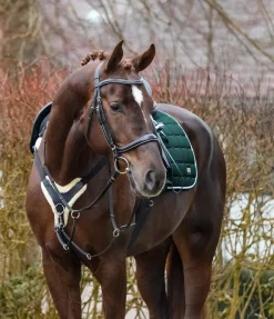 Online Collier de chasse avec véritable fourrure d'agneau Soft & Comfort Colliers De Chasse & Martingales|Fourrure D'Agneau