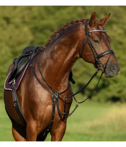 Clearance Collier de chasse en cuir gras Basic Colliers De Chasse & Martingales
