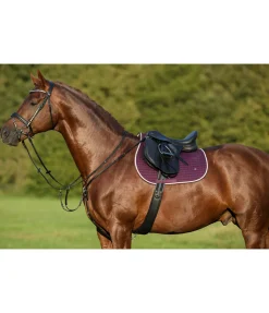 Clearance Collier de chasse en cuir gras Basic Colliers De Chasse & Martingales