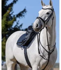 Best Collier de chasse élastique Parcours Colliers De Chasse & Martingales