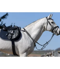 Best Collier de chasse élastique Parcours Colliers De Chasse & Martingales