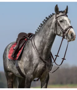 Clearance Collier de chasse élastique Parcours Colliers De Chasse & Martingales