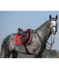 Clearance Collier de chasse élastique Parcours Colliers De Chasse & Martingales